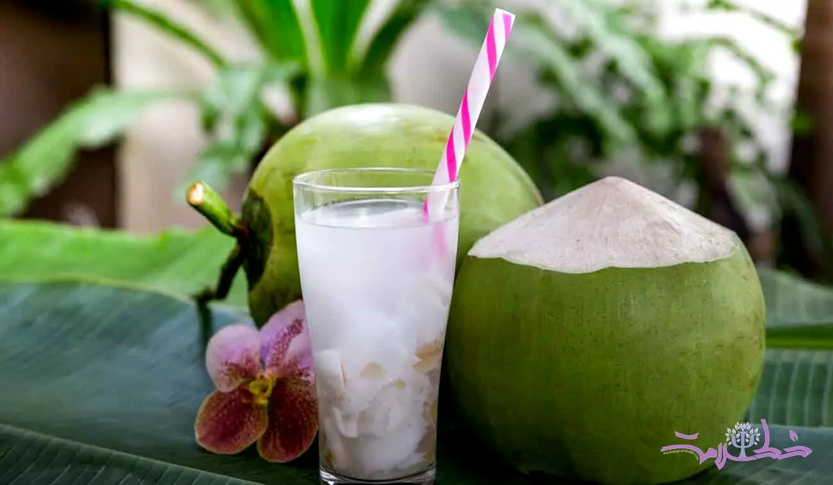 6 فایده آب نارگیل برای تقویت حافظه و مغز