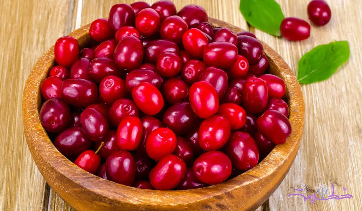 این میوه دوست دهه شصستی هاست
