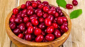 این میوه دوست دهه شصستی هاست