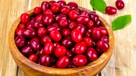 این میوه دوست دهه شصستی هاست