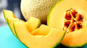 فواید بی نظیر طالبی  را با خطر بزرگش برای سلامتی بشناسید!