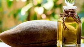 خواص روغن بائوباب برای درخشش مو و پوست