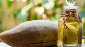 خواص روغن بائوباب برای درخشش مو و پوست