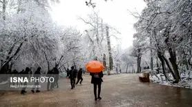 بارش‌های زمستانی در تهران: برف و باران از چه روزی شروع می شود؟