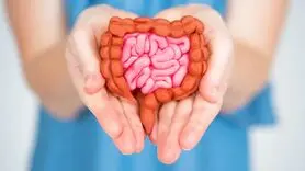 دستگاه گوارش زنان و مردان چه تفاوتی دارد؟