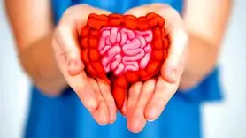 دستگاه گوارش زنان و مردان چه تفاوتی دارد؟