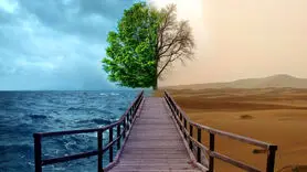 با این شیوه بر هوس مصرف دوباره مواد مخدر غلبه کنید