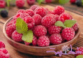 از تقویت حافظه تا کاهش خطر افسردگی و آلزایمر ؛ راز شگفت‌ انگیز تمشک برای مغز / نویسنده: دکتر مریم سامانی- روانشناس بالینی و استاد دانشگاه-