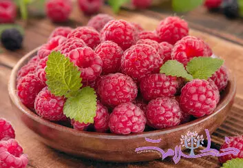 از تقویت حافظه تا کاهش خطر افسردگی و آلزایمر ؛ راز شگفت‌ انگیز تمشک برای مغز / نویسنده: دکتر مریم سامانی- روانشناس بالینی و استاد دانشگاه-