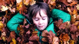 فیلم/ این نماهنگ را با چشمان باز ببینید + تقویت مسیرهای عصبی