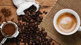 کدام نوع قهوه طبع گرم دارد؟ + راههای رفع طبع سرد یا گرم قهوه