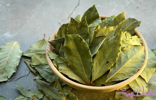 آیا برگ بو واقعاً طعم می‌دهد یا فقط شایعه است؟ + نحوه استفاده صحیح از برگ بو
