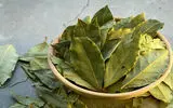 آیا برگ بو واقعاً طعم می‌دهد یا فقط شایعه است؟ + نحوه استفاده صحیح از برگ بو