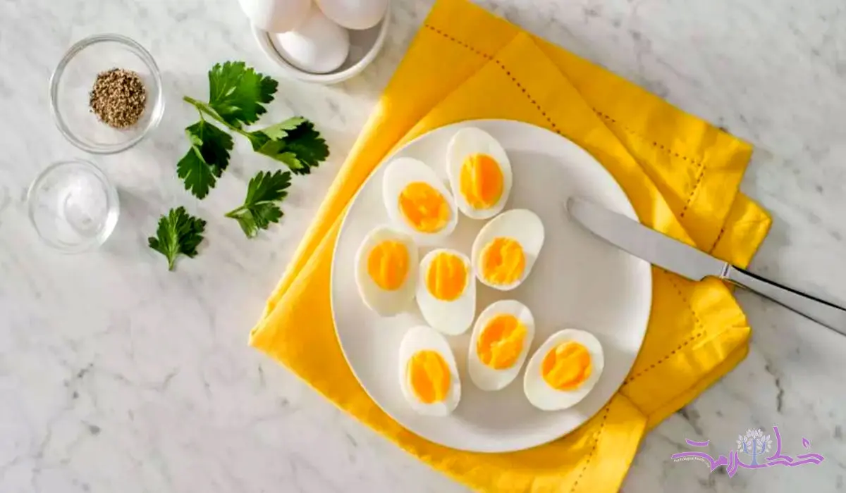 چند تخم‌مرغ در روز می توانید بخورید؟
