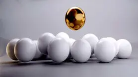 روانشناسی رنگ سفید در اقتصاد/ بازار گرمی ها از اینجا شروع می شود