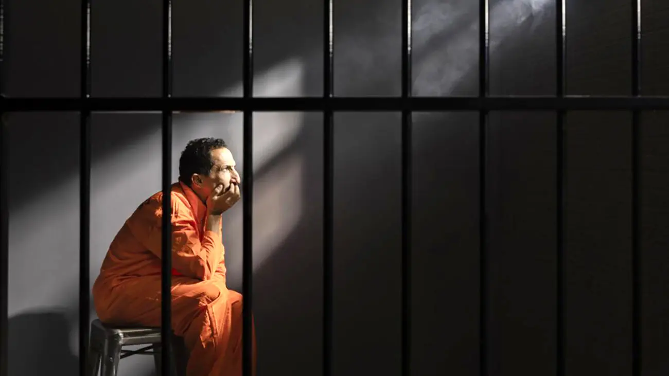 تحلیل تخصصی روانشناسی رفتار مجرمانه علیه اشخاص و جرایم مالی 