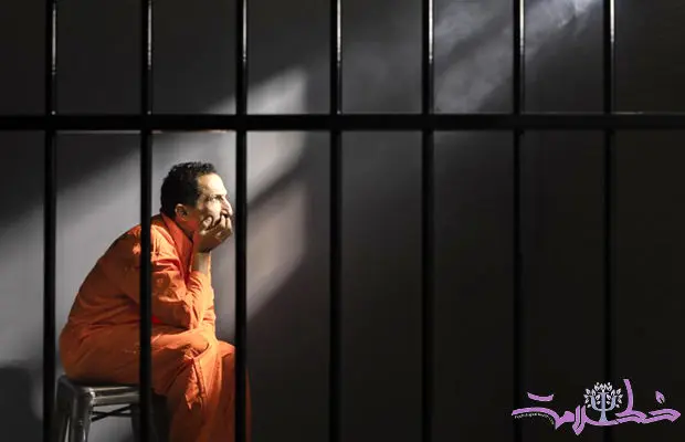 تحلیل تخصصی روانشناسی رفتار مجرمانه علیه اشخاص و جرایم مالی 