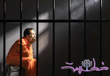 تحلیل تخصصی روانشناسی رفتار مجرمانه علیه اشخاص و جرایم مالی 