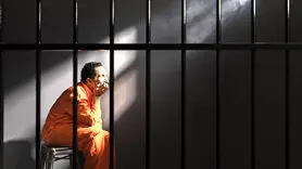 تحلیل تخصصی روانشناسی رفتار مجرمانه علیه اشخاص و جرایم مالی 