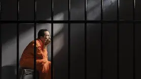تحلیل تخصصی روانشناسی رفتار مجرمانه علیه اشخاص و جرایم مالی 