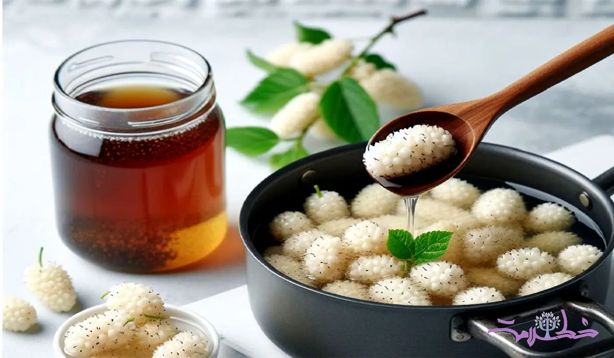 خواص شیره توت از نظر ابن سینا