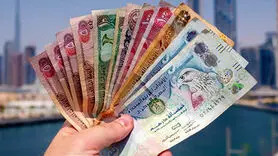درهم امارات چند؟ / آخرین قیمت درهم امارات امروز شنبه 28 مهر 1403