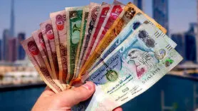 درهم امارات چند؟ / آخرین قیمت درهم امارات امروز سه شنبه 17 مهر 1403