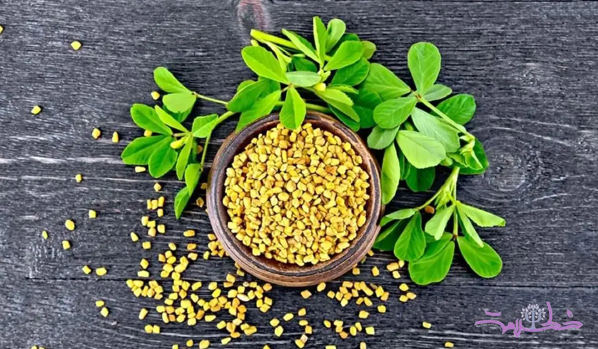  قوای جنسی مردان با این سبزی قوی می شود 