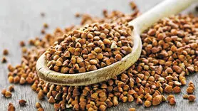 دانشمندان می گوینداین دو نوع شیر و چهار ماده غذایی موجب آلرژی‌ شدید می شوند!