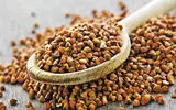 دانشمندان می گوینداین دو نوع شیر و چهار ماده غذایی موجب آلرژی‌ شدید می شوند!
