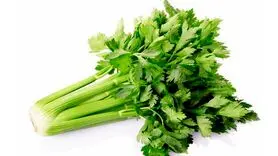 خواص بی نظیر برگ کرفس برای سلامتی