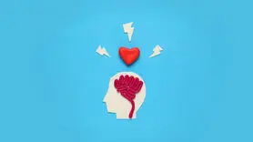 هوش هیجانی با طلاق چه رابطه ای دارد؟