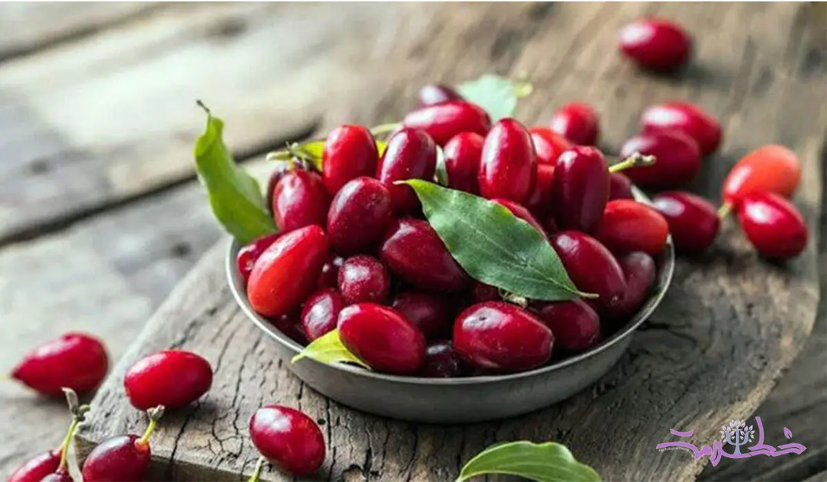 خواص شگفت‌انگیز زغال اخته / ضدافسردگی و محافظ مغز است