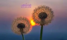 بعد از رابطه جنسی چه کسی سریعتر به خواب می رود ؟
