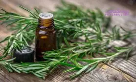 رزماری حافظه را تقویت و اضطراب را کم می کند