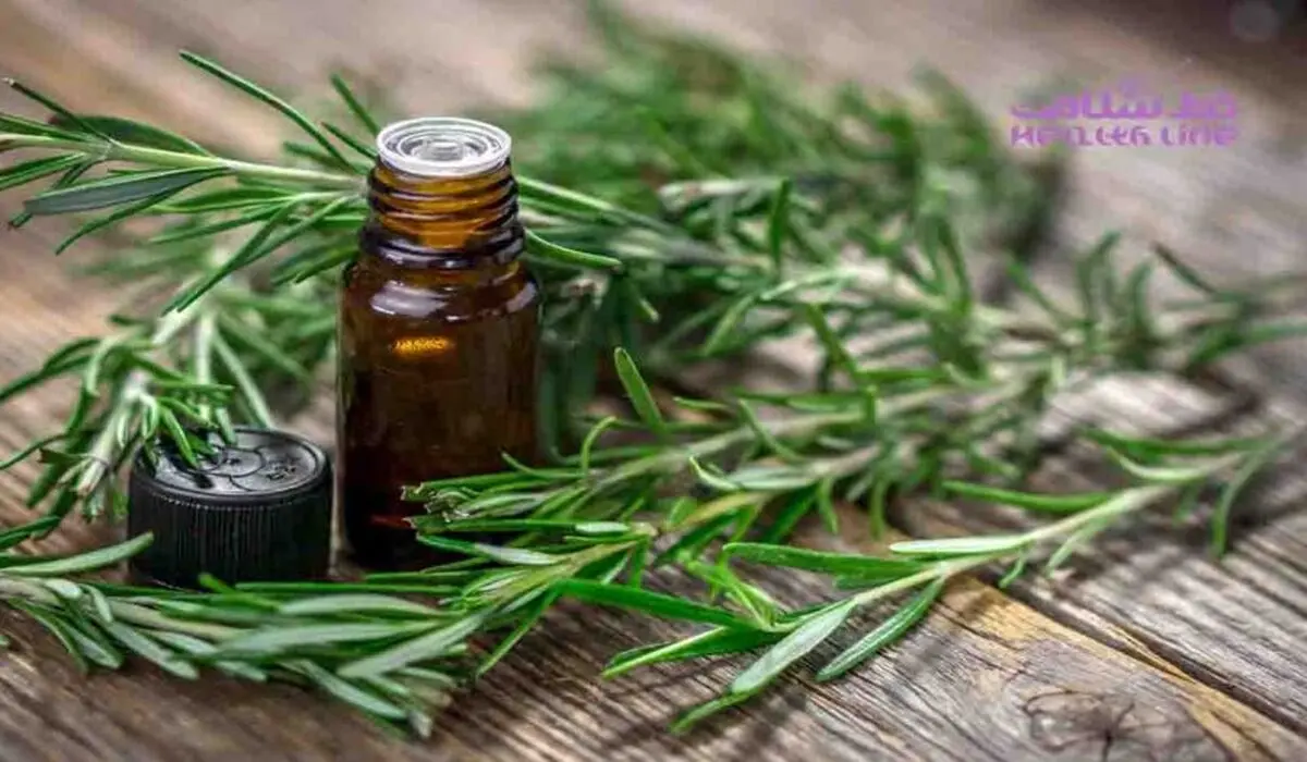 رزماری حافظه را تقویت و اضطراب را کم می کند