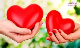 میل جنسی با سبک های دلبستگی مرتبط است