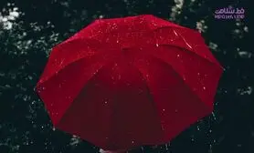 این ماده موجب بیش فعالی میل جنسی می شود
