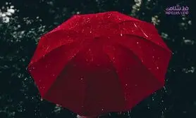این ماده موجب بیش فعالی میل جنسی می شود