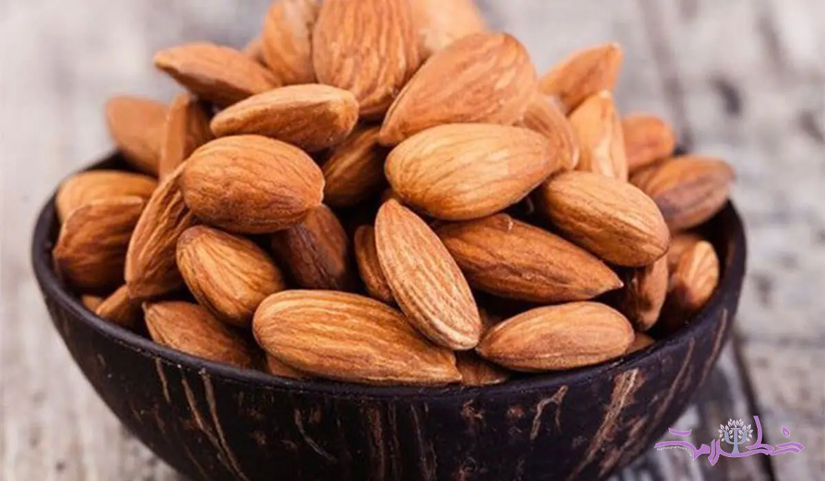 بهترین شیوه خوردن بادام / خاصیتش را چند برابر کنید