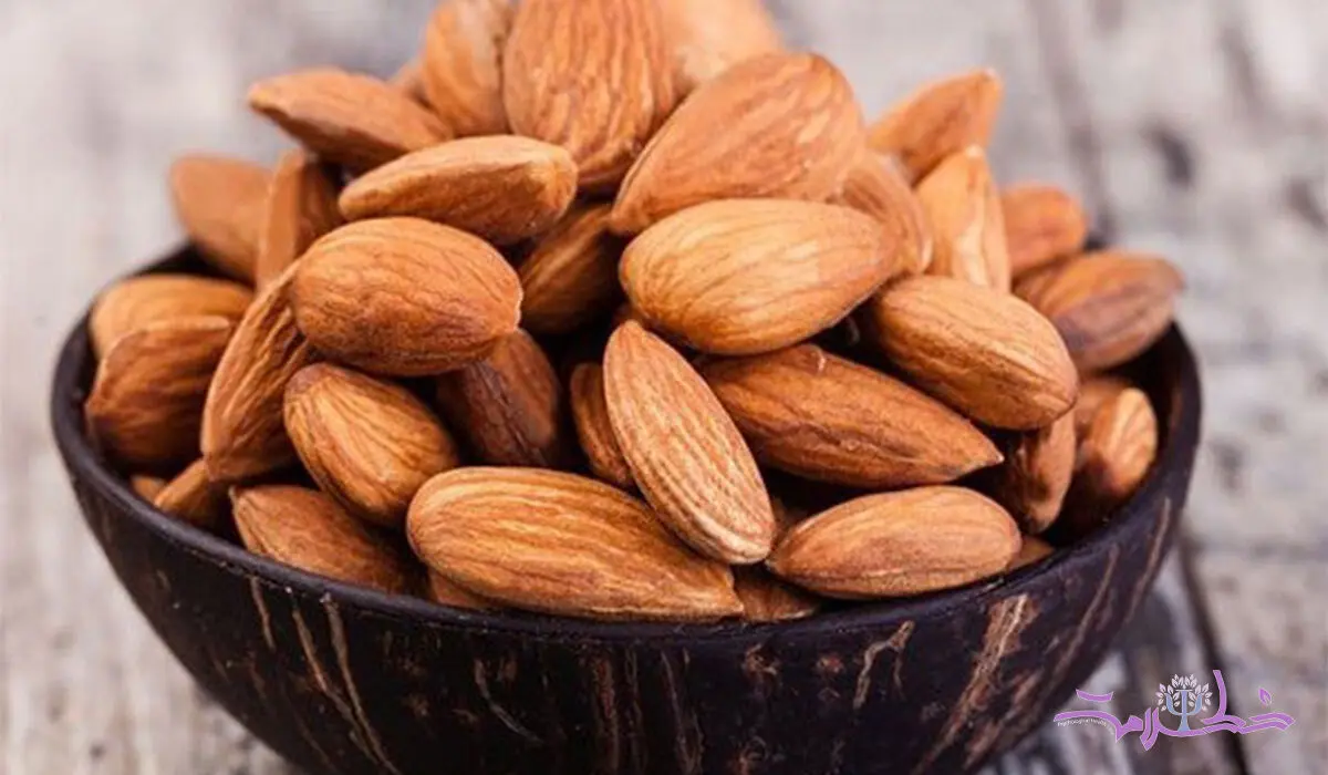 بهترین شیوه خوردن بادام / خاصیتش را چند برابر کنید