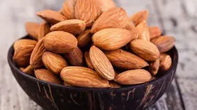 بهترین شیوه خوردن بادام / خاصیتش را چند برابر کنید