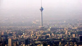 این ویتامین این روزها  از شما مراقبت می کند