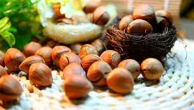 فندق به شما جوانی و زیبایی پوست هدیه می کند
