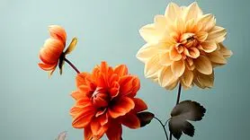 این رابطه را لذت نبینید/ فواید روانی بالایی دارد