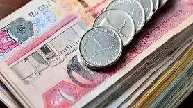 درهم امارات چند؟ / آخرین قیمت درهم امارات امروز شنبه 8 دی ماه 1403