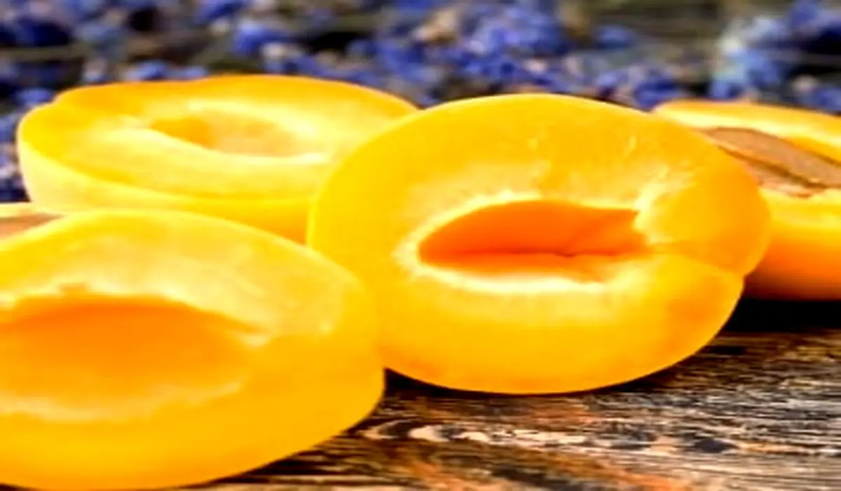 فواید شگفت‌انگیز زردآلو برای پوست و مو