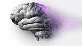 فیلم/ تنها راهکار شناخته شده برای بهبود آلزایمر