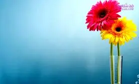 وقتی همسرتان را دوست ندارید باید چه کار کنید؟ / راههایی برای ترمیم روابط عاطفی