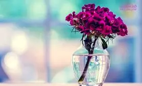 بهترین جایگزین بجای درگیر شدن با دیگران